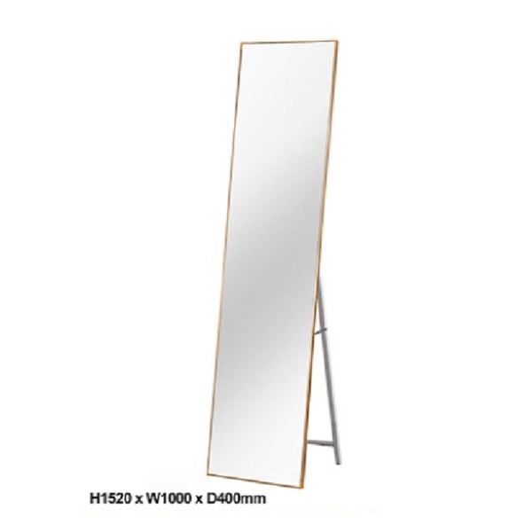 STEALTH Full Body Mirror - Image 2