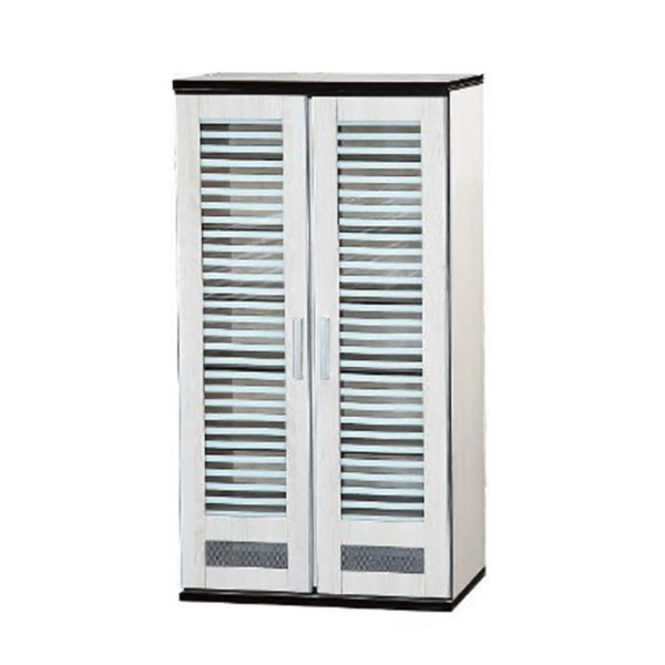 FILEDO Hanging Shoe Cabinet - Image 2